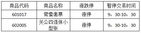 今晚免费公开资料